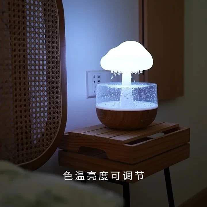Raindrop Humidifier