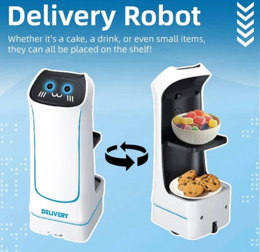 Intelligent Food Delivery Robot