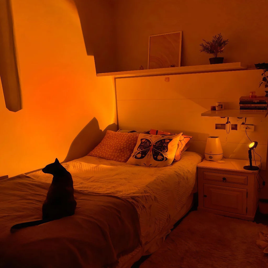 Sunset Light Lamp
