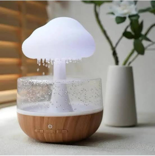 Raindrop Humidifier